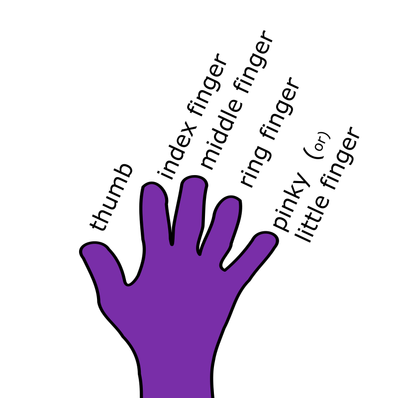 Finger Names - English
