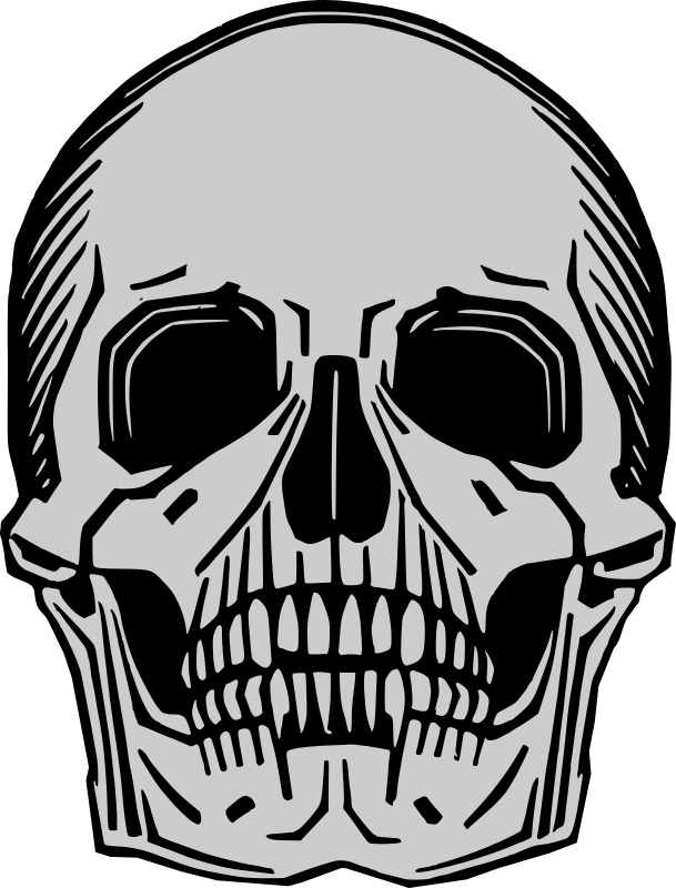 Memento mori skull