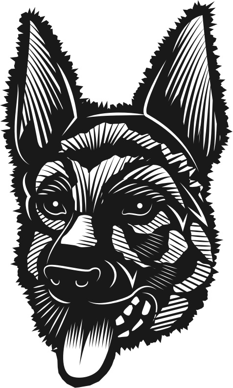 German shepherd