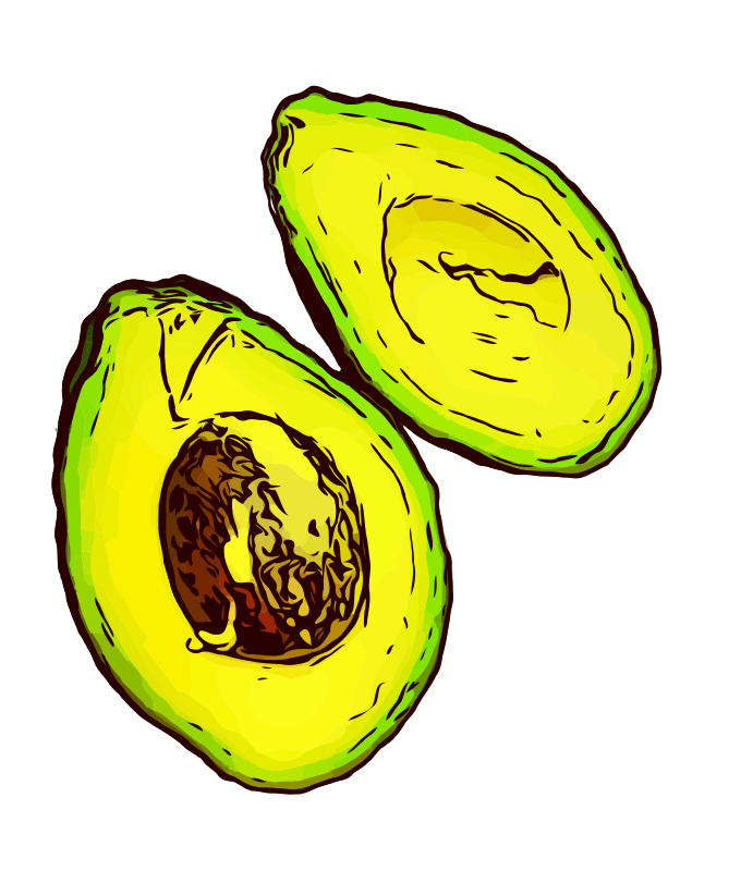 Basic Colour Avocado Sliced