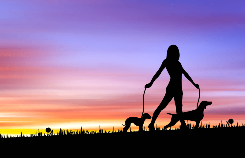 Woman Walking Dogs at Sunset - Remix