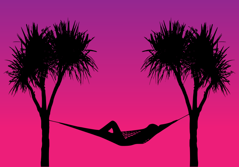Hammock Between Palm Trees