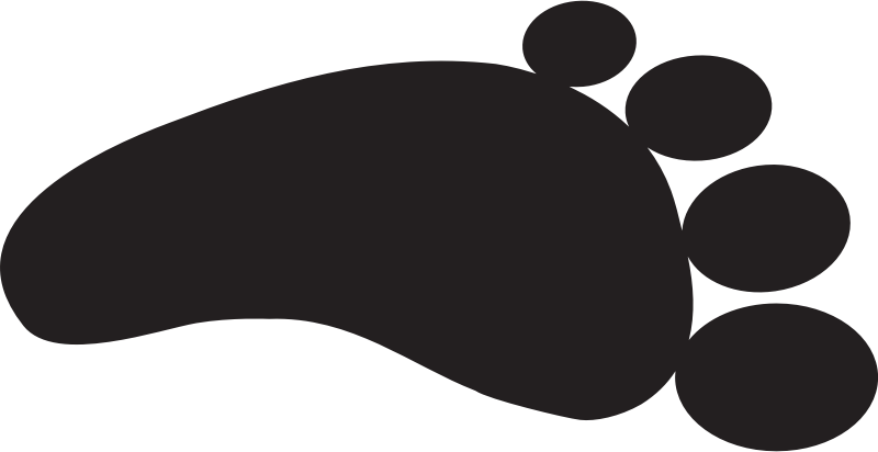 Feet