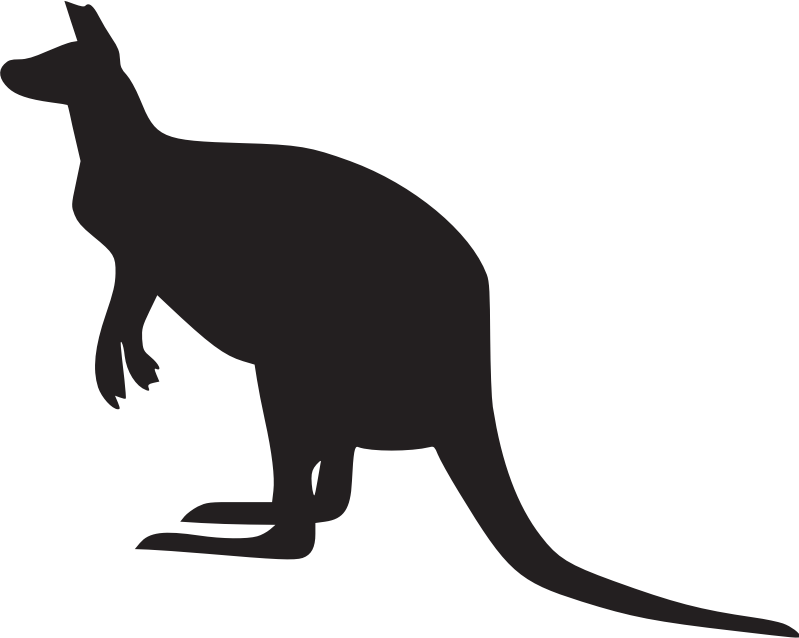 Kangaroo