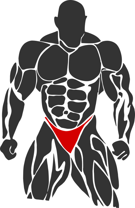 Bodybuilder