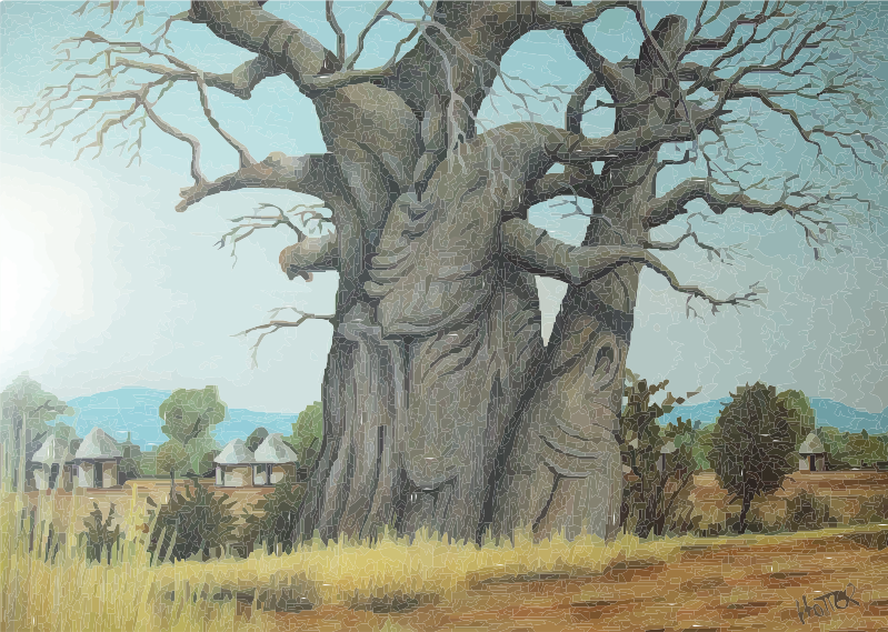 Boabab Tree
