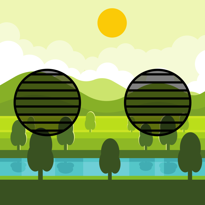 Nature landscape polarization demo