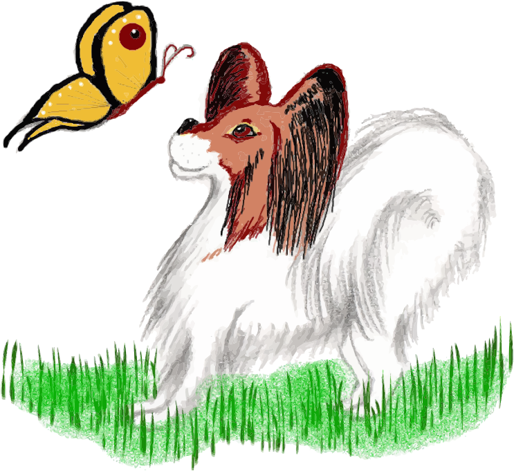 papillon dog and butterfly