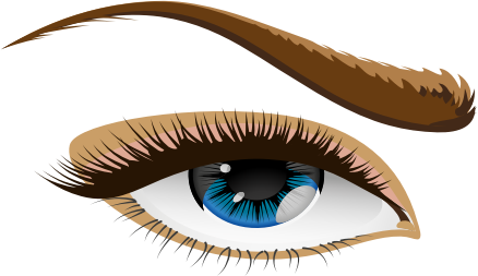 woman's blue eye and eyebrow
