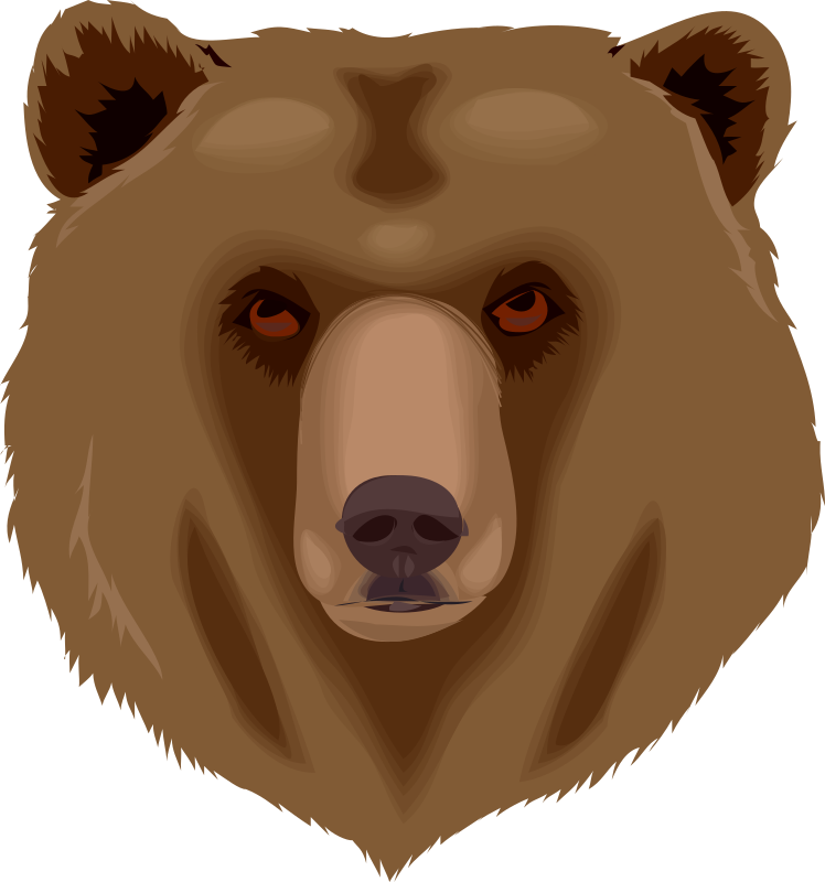 Architetto orso 16 Grizzly Bear