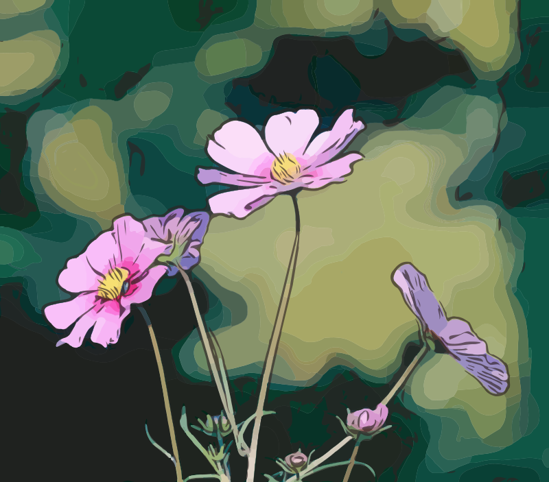 Pink Flowers