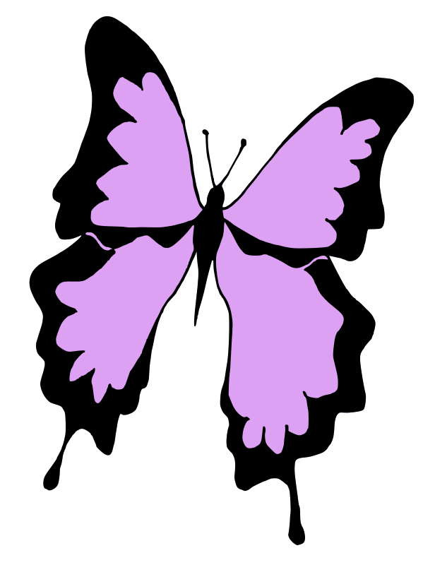 Purple butterfly