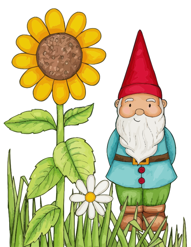 Isolated Gnome