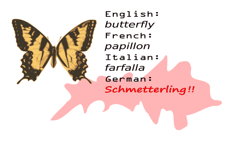 Schmetterling