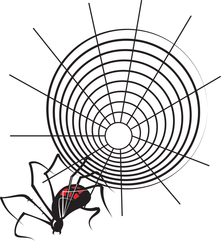 Spider and web