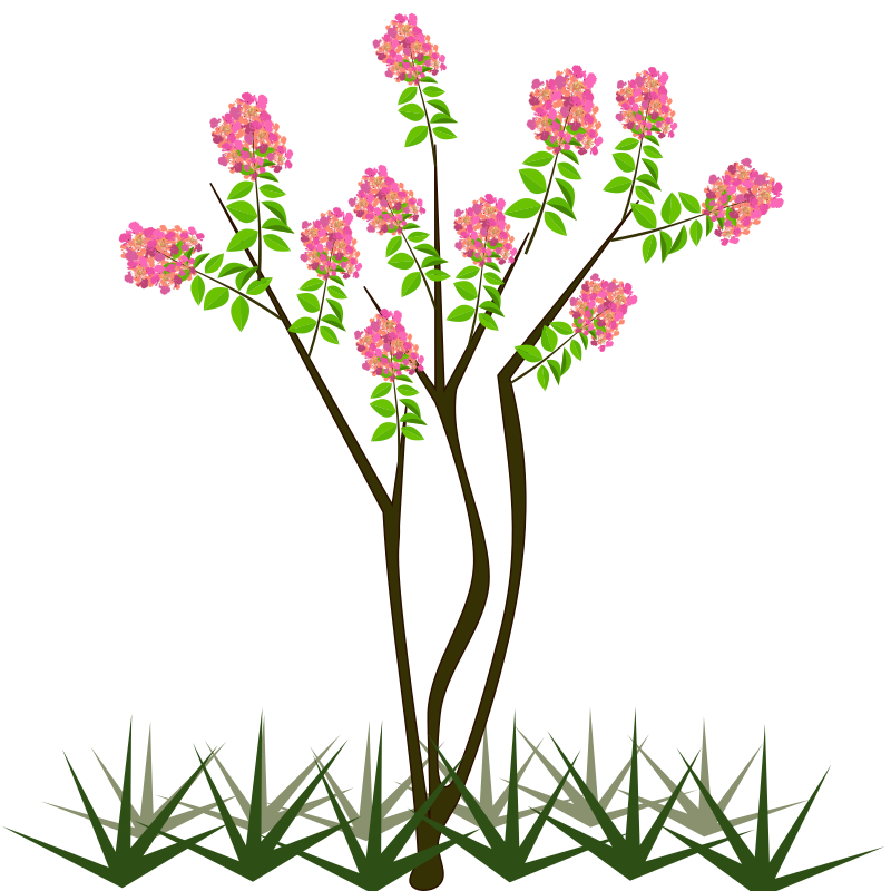 Flowering Tree