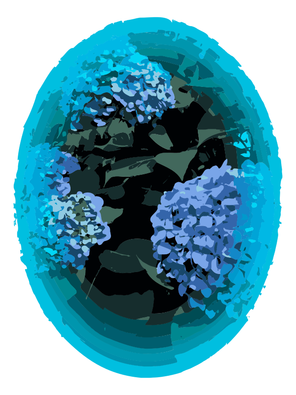 Blue Circle Hydrangea