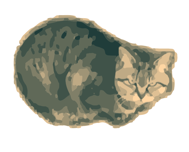 Moody Cat