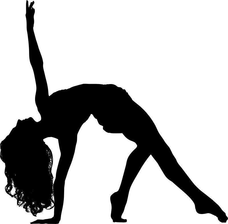 Dancer By David Hofmann Silhouette