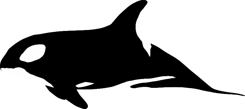 Orca