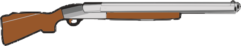 Hunting Rifle