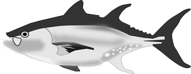 tuna fish