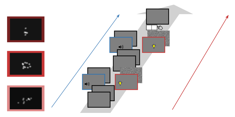 Expt1_stimuli_timing