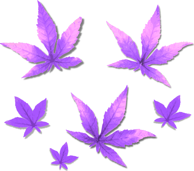 Purple Foliage