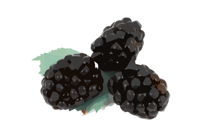 Blackberries