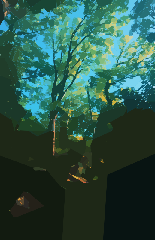 Abstract Tree Nature Place