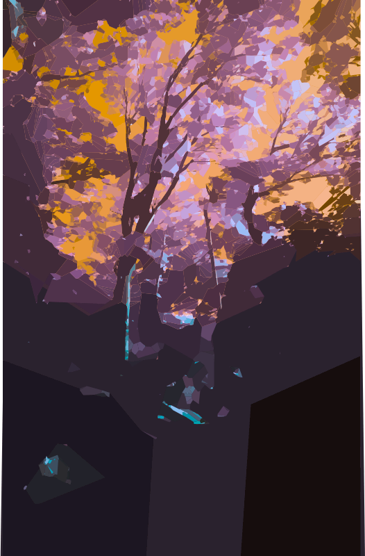 Magic Forest