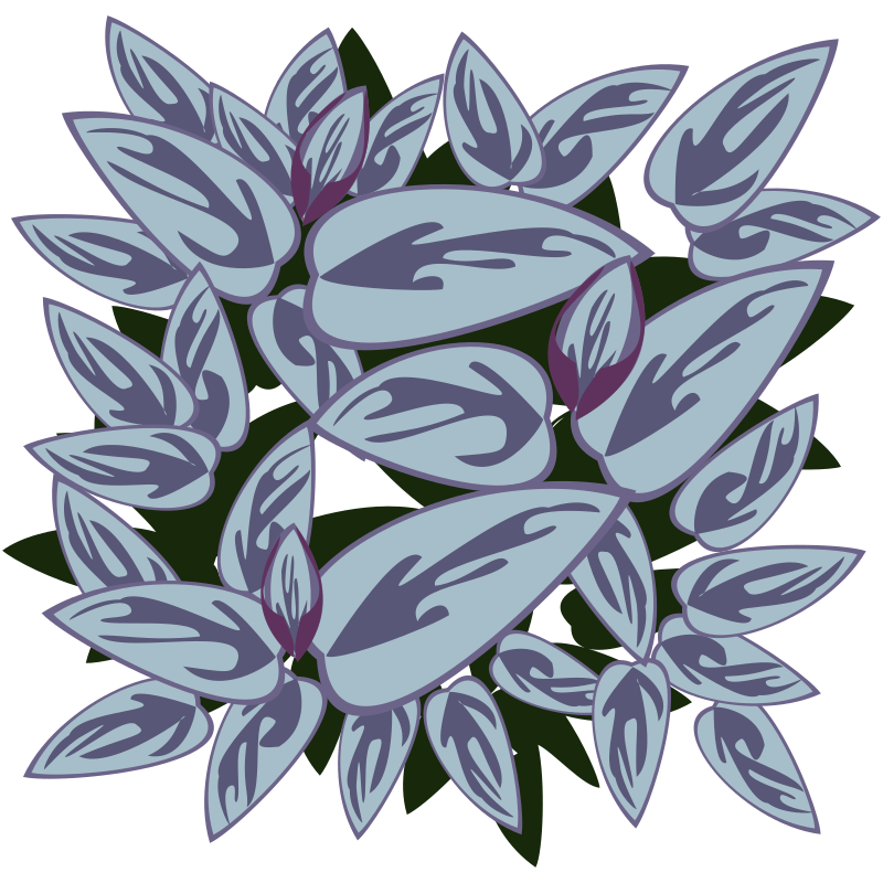 Leafs