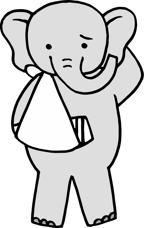Injured elephant