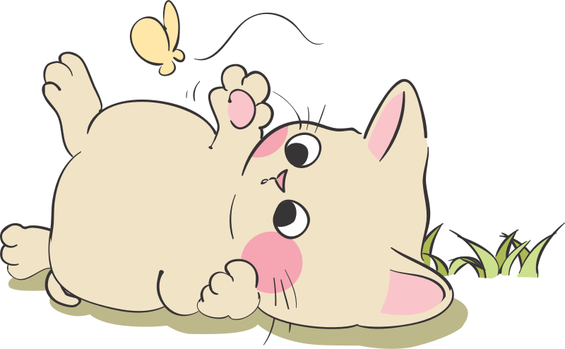 Kitten and butterfly