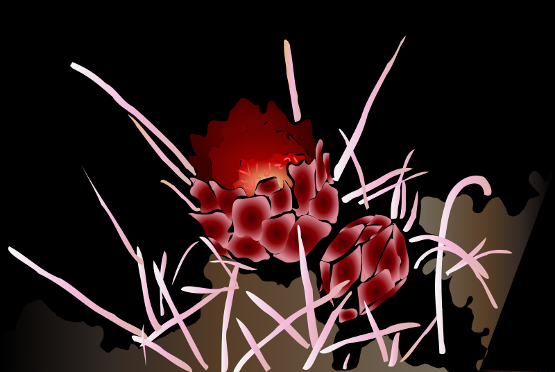 ThornFlowers
