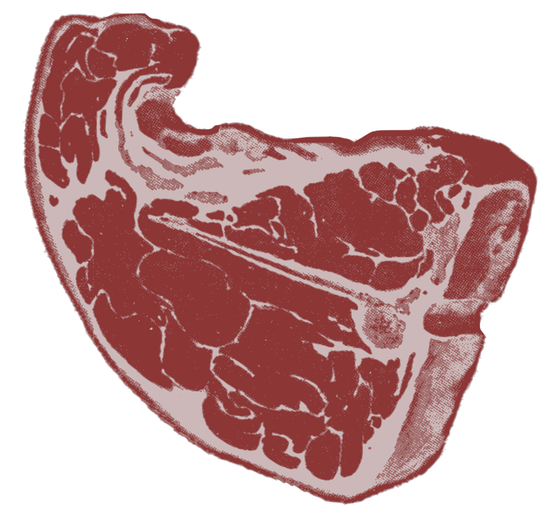 Uncooked Steak