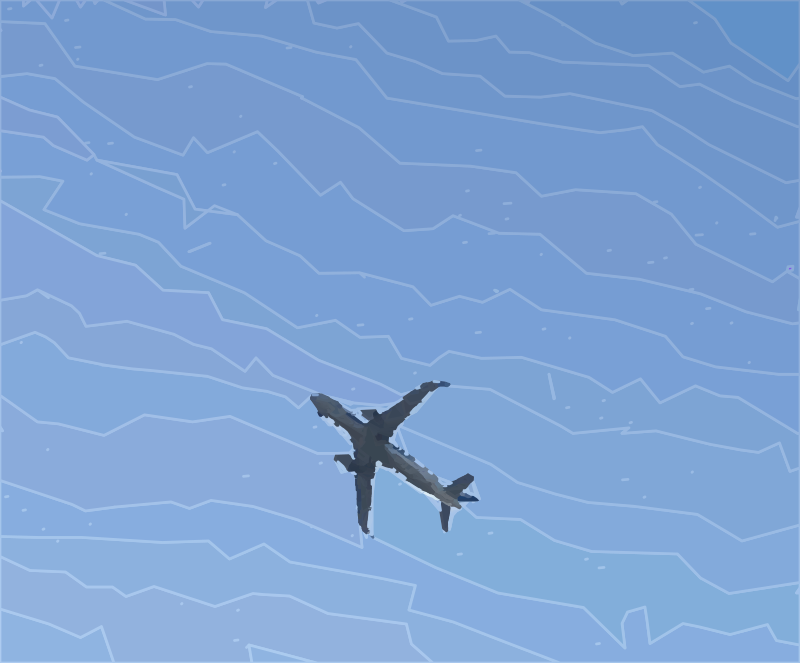 Airplane in the Sky