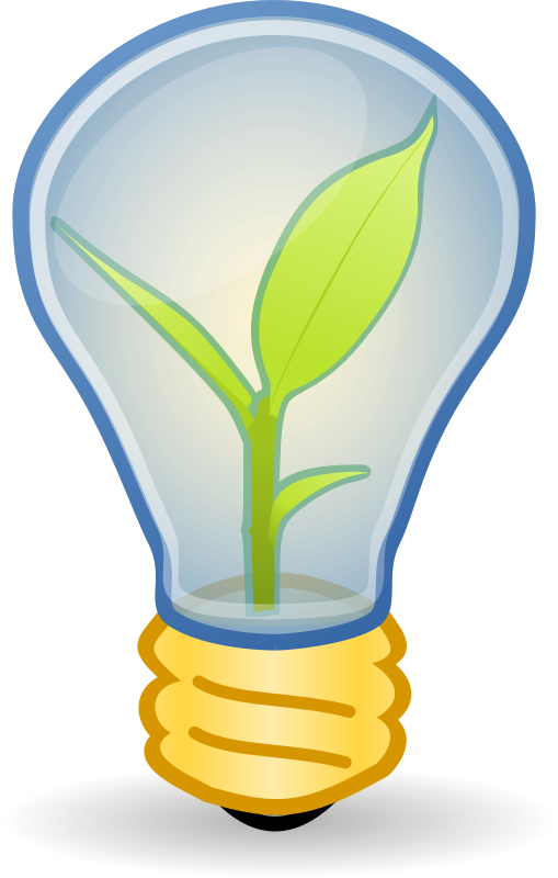 Light Bulb Plant