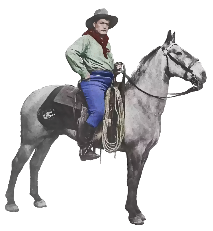 Royal Cowboy