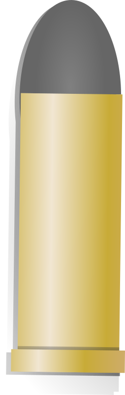 Bullet