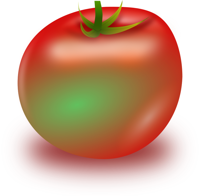 Unripe Tomato