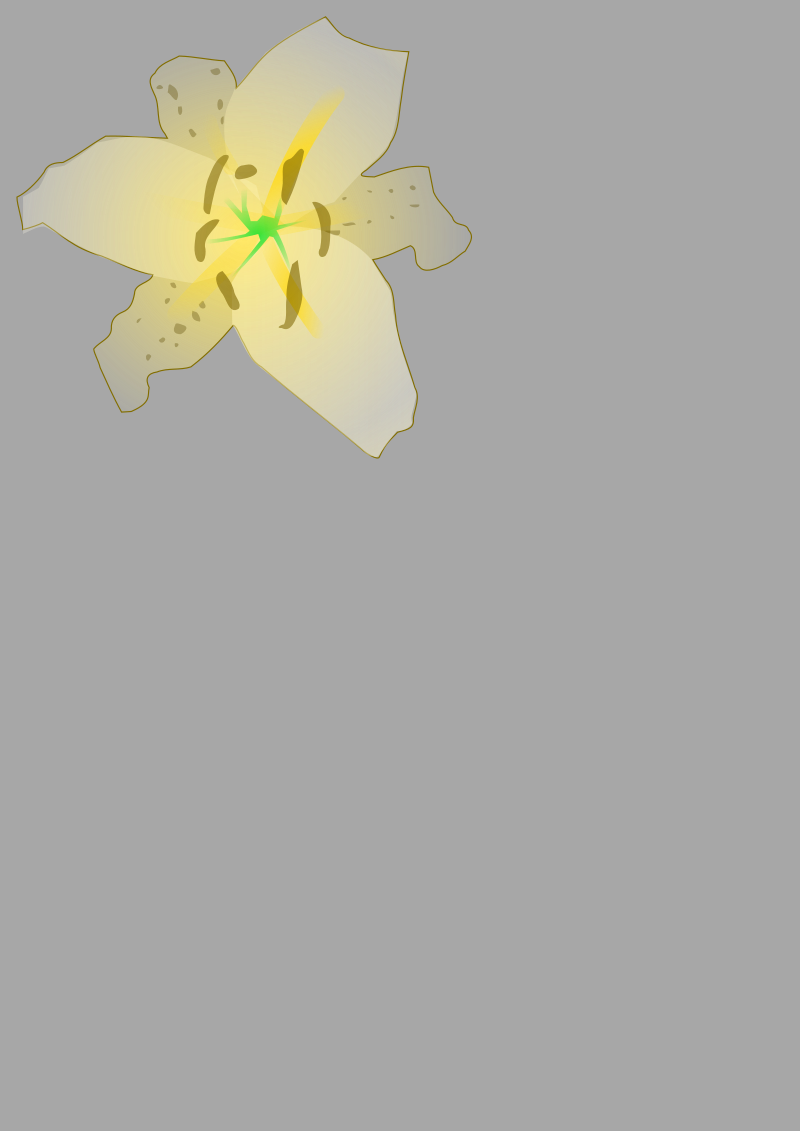 lily01 4