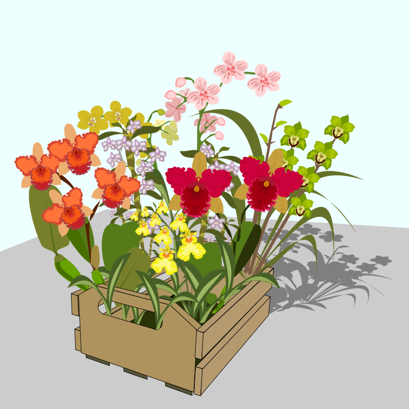 Flower Box
