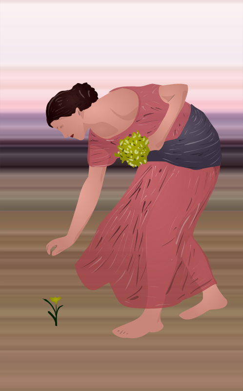 Narcissus
