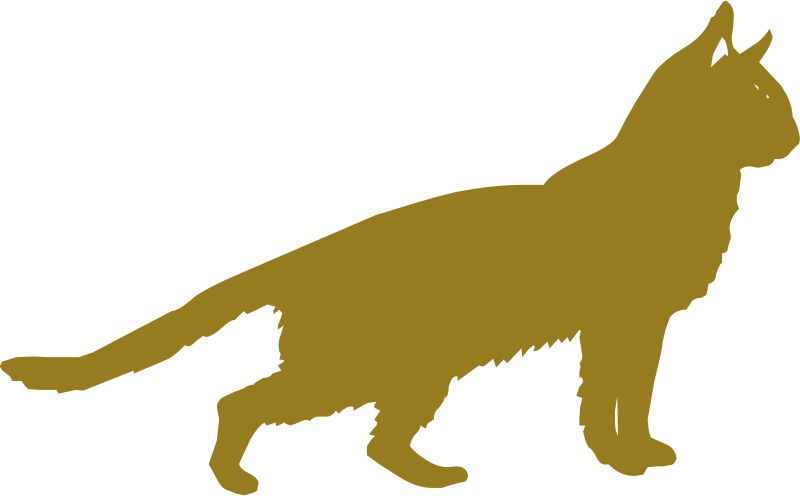 Golden cat