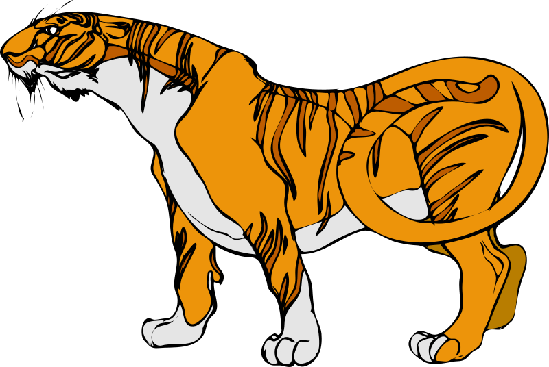 Architetto -- tigre 1