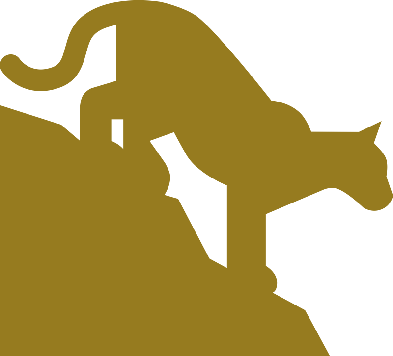 Cougar