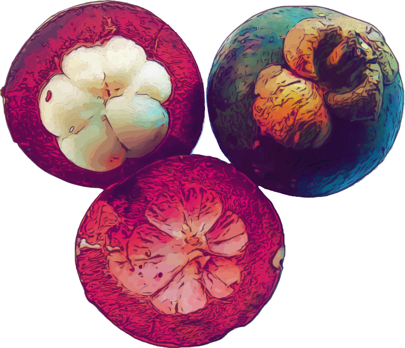 Mangosteen Fruit