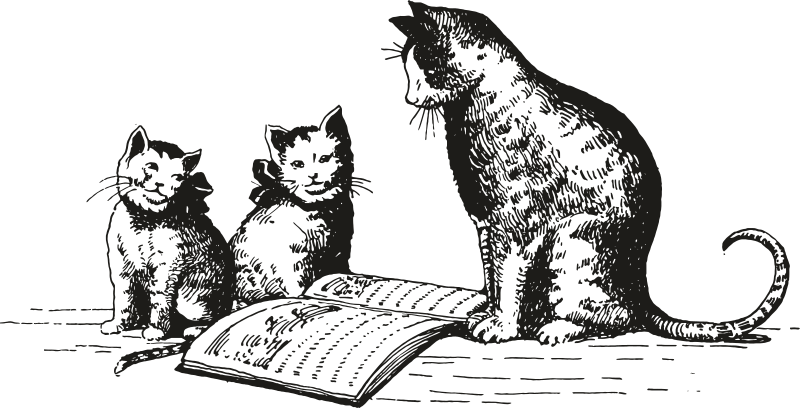 Cat and Kittens with Book