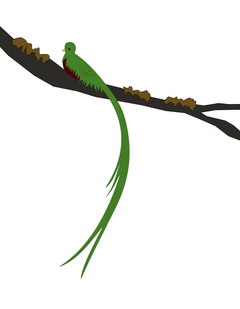 Resplendent Quetzal
